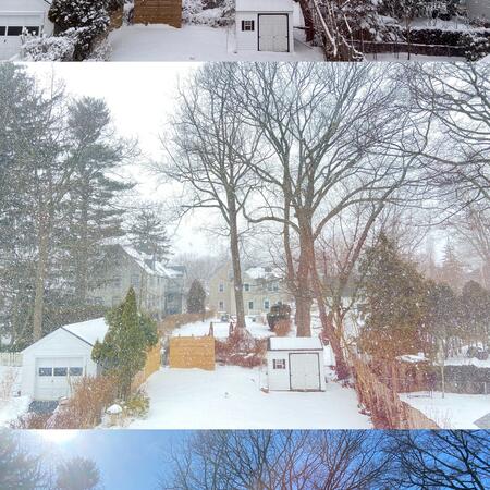 A composite photo of three images taken from a window facing a suburban backyard during a change of seasons.
