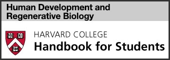 HDRB concentration harvard college handbook link