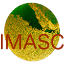 IMASC Logo