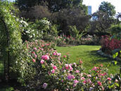 The James P. Kelleher Rose Garden