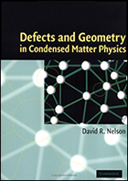 Defects and Geometry in Condensed Matter Physics - book cover