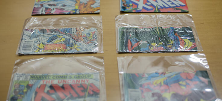 Comic books bagged and boarded.