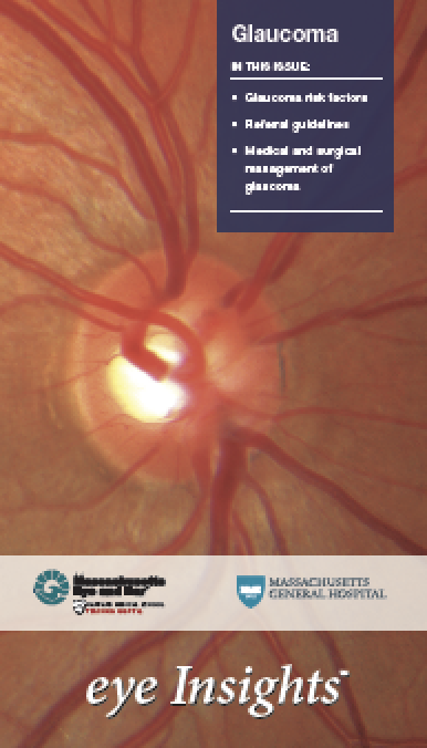 eye insights 8 cover