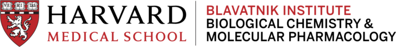 Blavatnik Logo Example