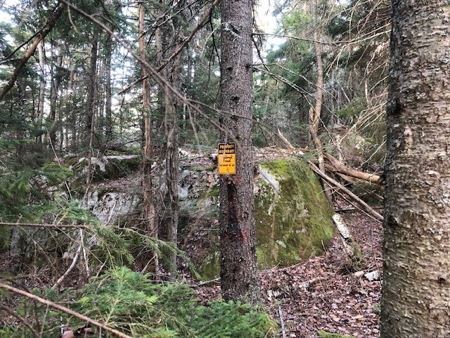 National Forest boundary marked by a signpost