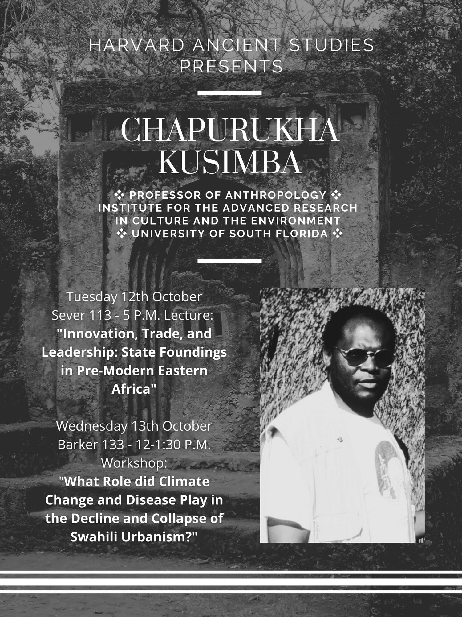 Chap Kusimba poster