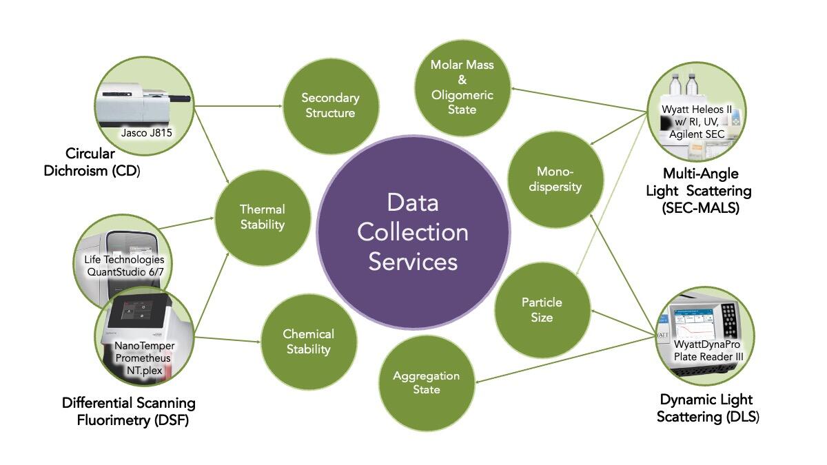 CMI Data Collection Services