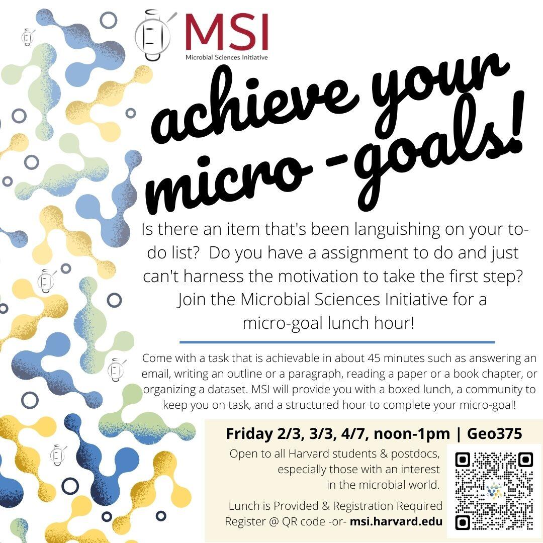 Poster with multicolored bubbles, titled achieve your micro-goals. Same text as website