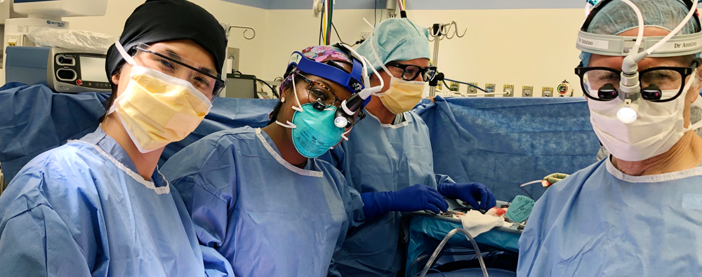 Harvard Otolaryngology residents assist during a surgery in operation room