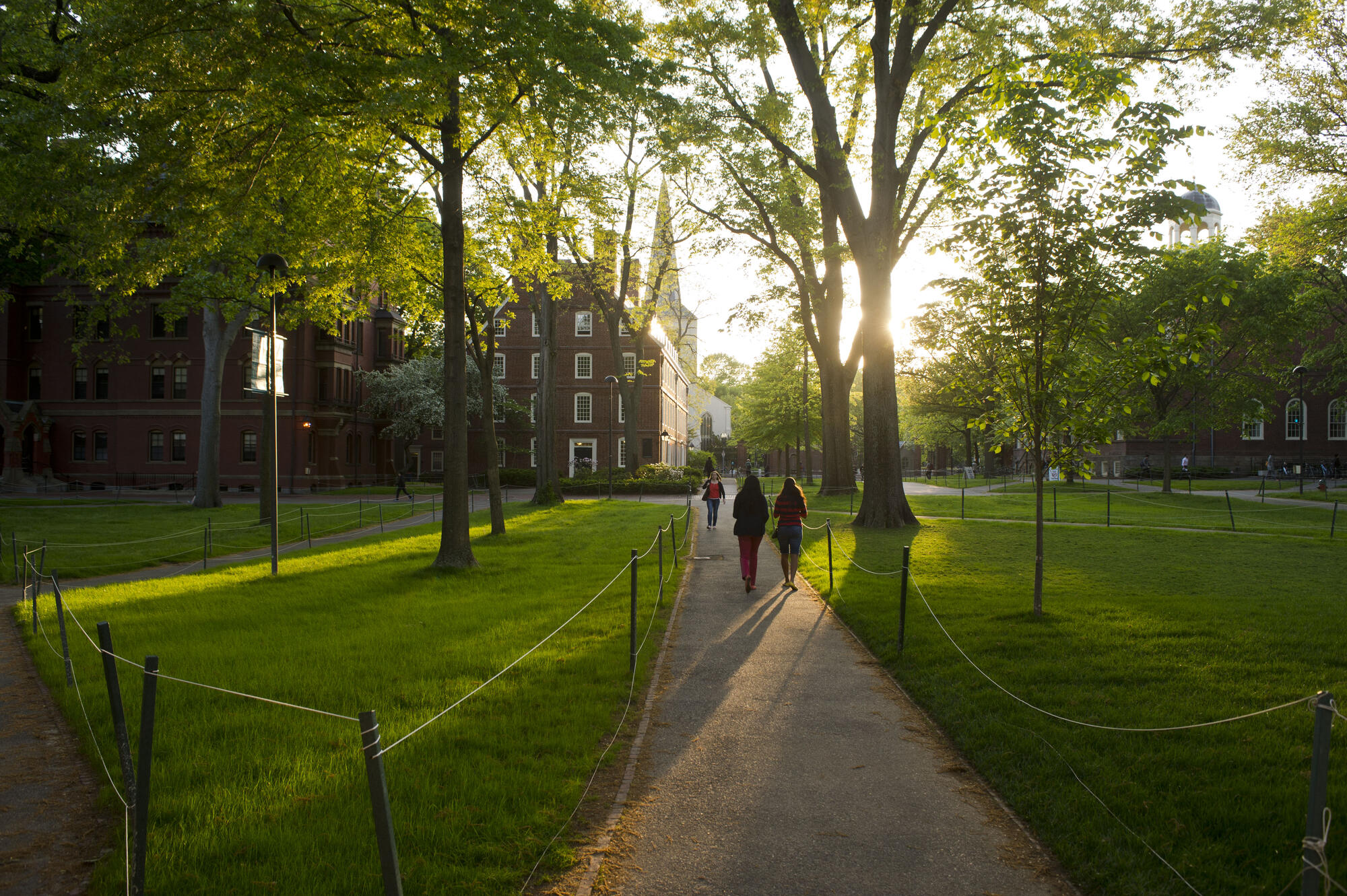 Students walking along a path in Harvard Yard as the sun is setting