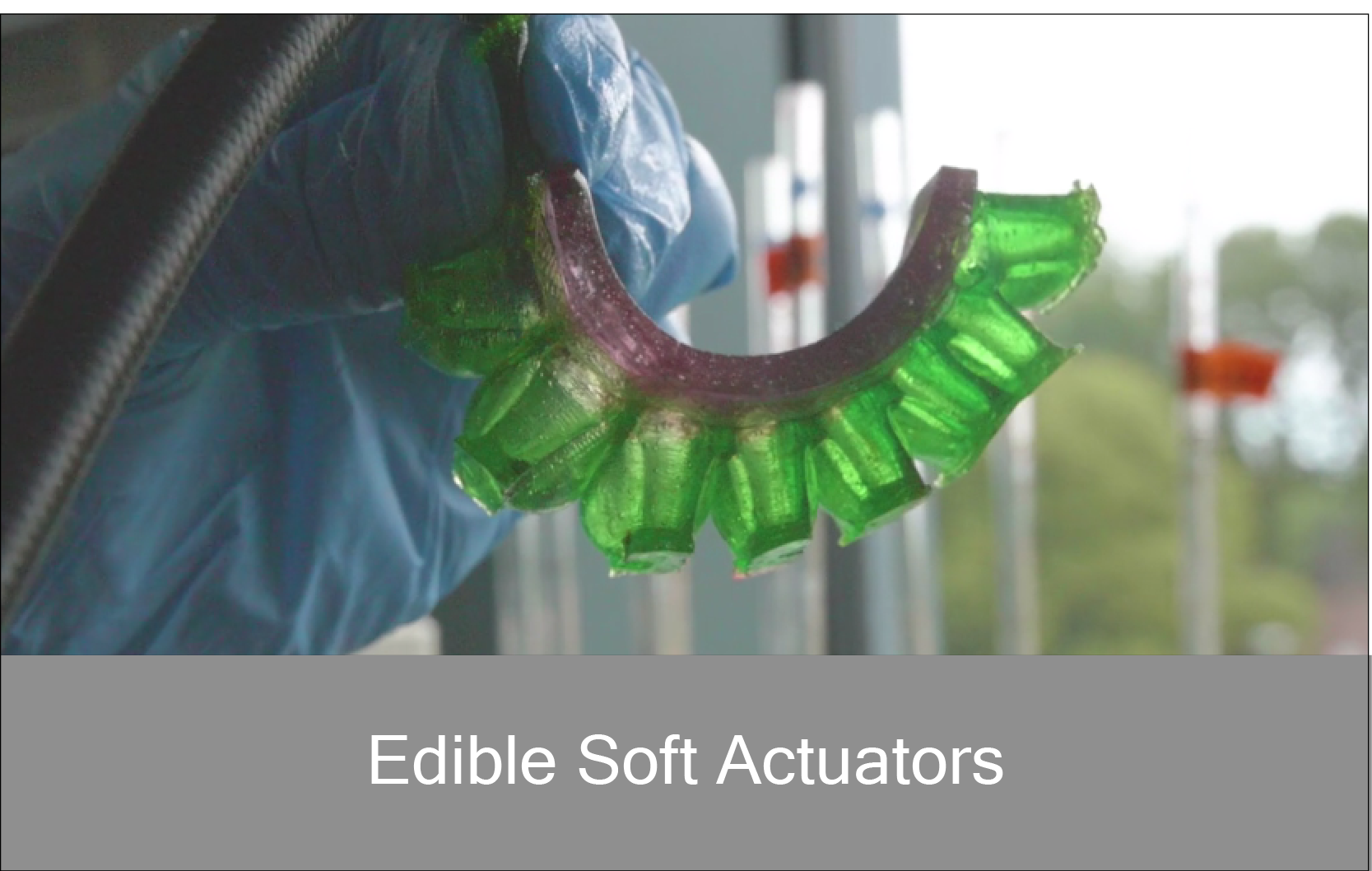 edible_actuators-01.png