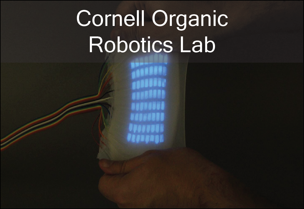 organic_robotics_cornell-01.png