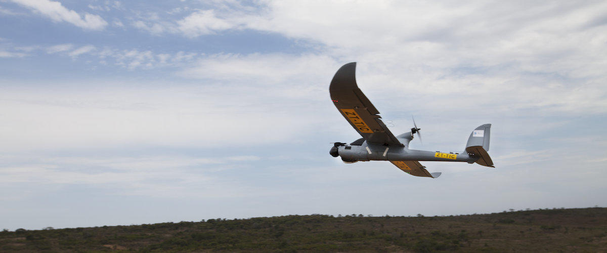 Biplane flying over vegetation