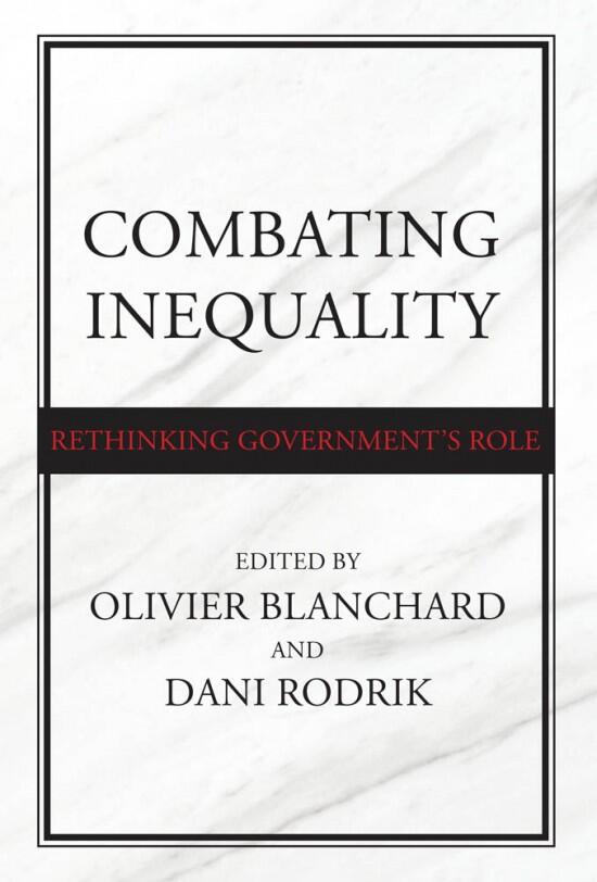 Book cover for Combating Inequality