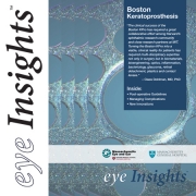 Eye Insights Fall 2015