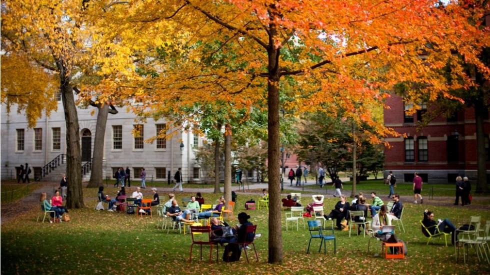People sitting in Harvard Yard