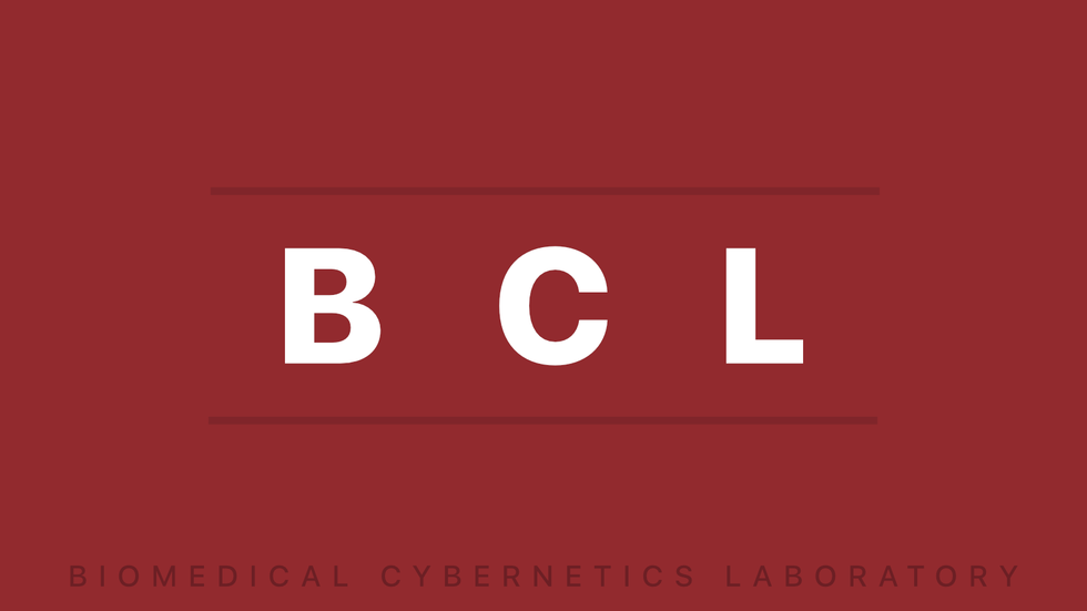 Homepage Image for Biomedical Cybernetics Laboratory