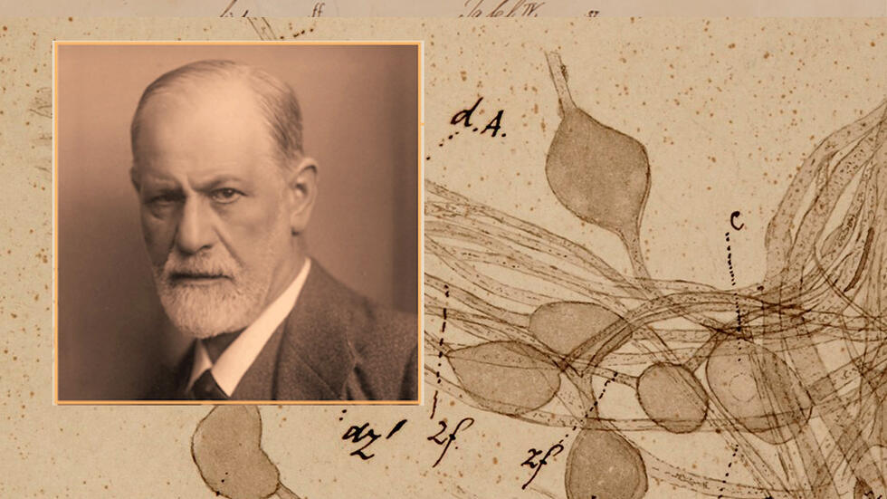 The Interpretation of Drawings: Freud & the Visual Origins of Psychoanalysis is now online