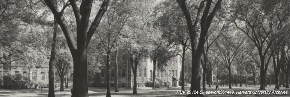 Harvard Yard, ca. 1953