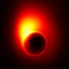 Shep Doeleman: Imaging Black Holes with The Event Horizon Telescope