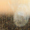 Should We Trust Forensic Science?