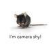 camera shy mouse profile photo