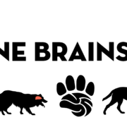 The Canine Brains Project
